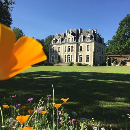 Chateau Des Essards Avec Piscine Et Jacuzzi Langeais Εξωτερικό φωτογραφία